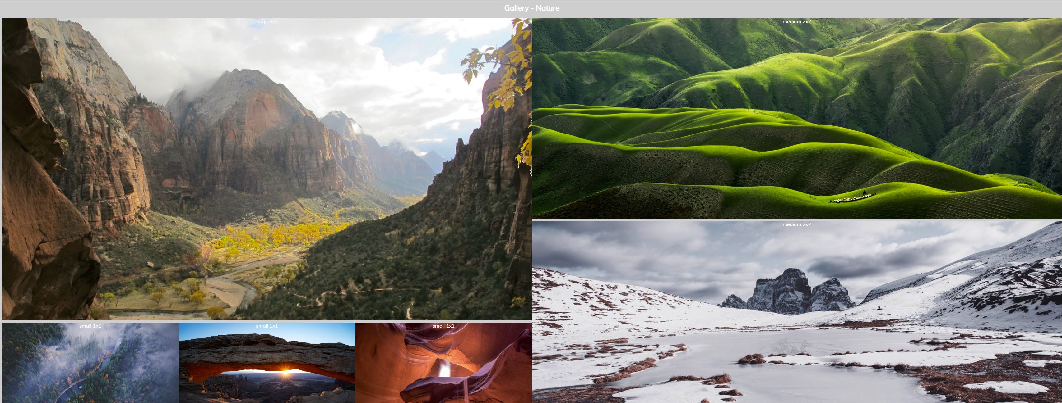 nature gallery